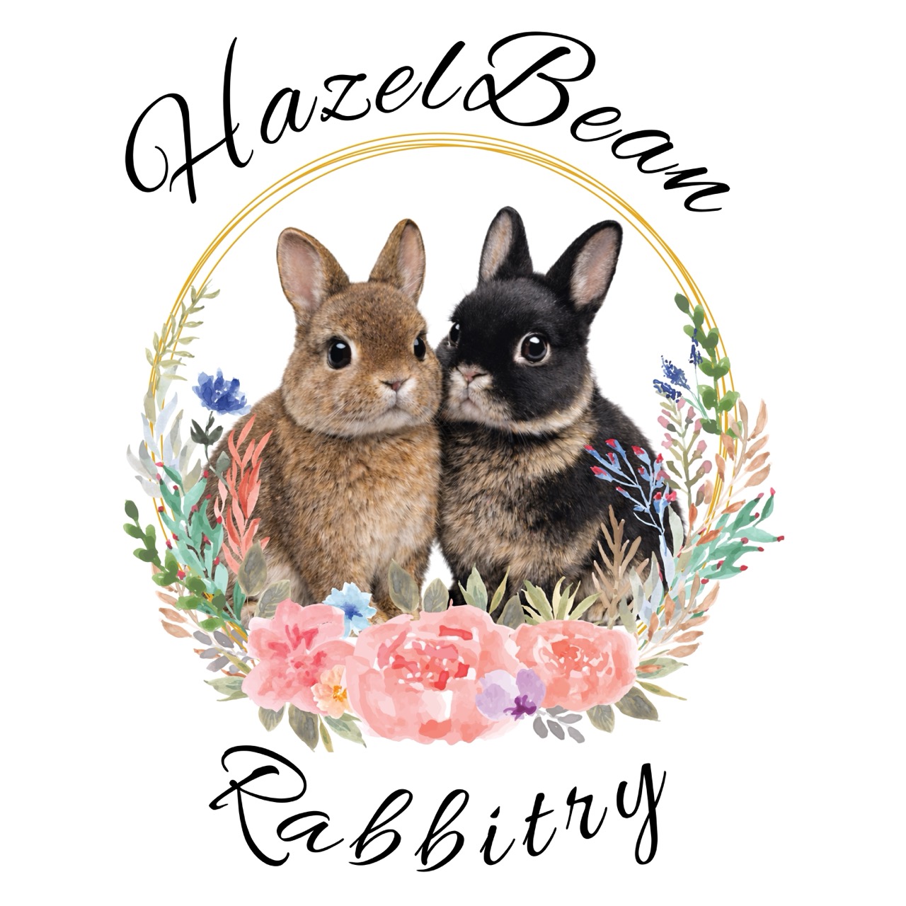 HazelBean Rabbitry